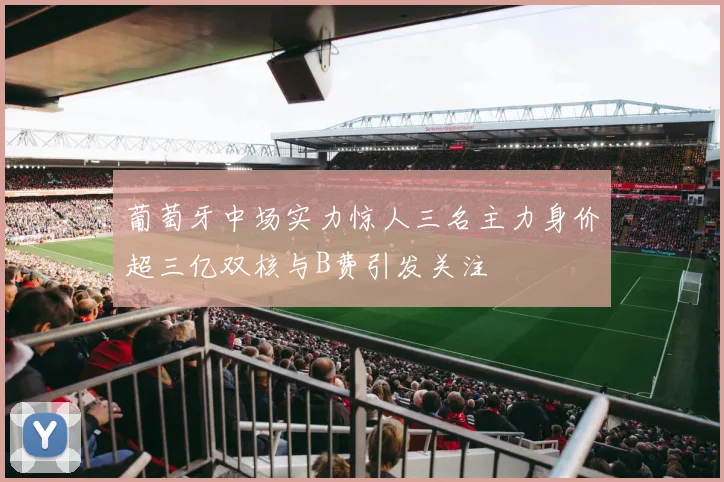 葡萄牙中场实力惊人三名主力身价超三亿双核与B费引发关注