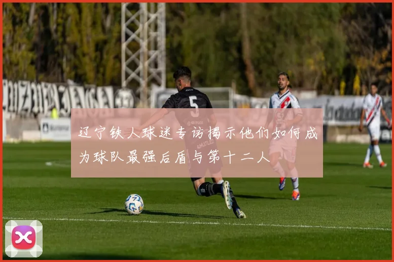辽宁铁人球迷专访揭示他们如何成为球队最强后盾与第十二人